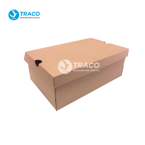 HỘP CARTON ĐỰNG GIÀY